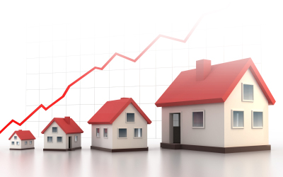 investissement locatif immobilier